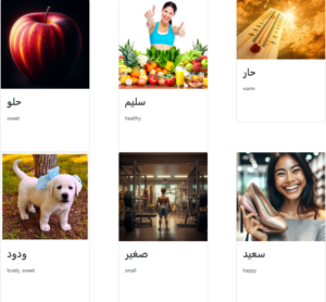 Illustration of some Arabic adjectives in our Anki deck